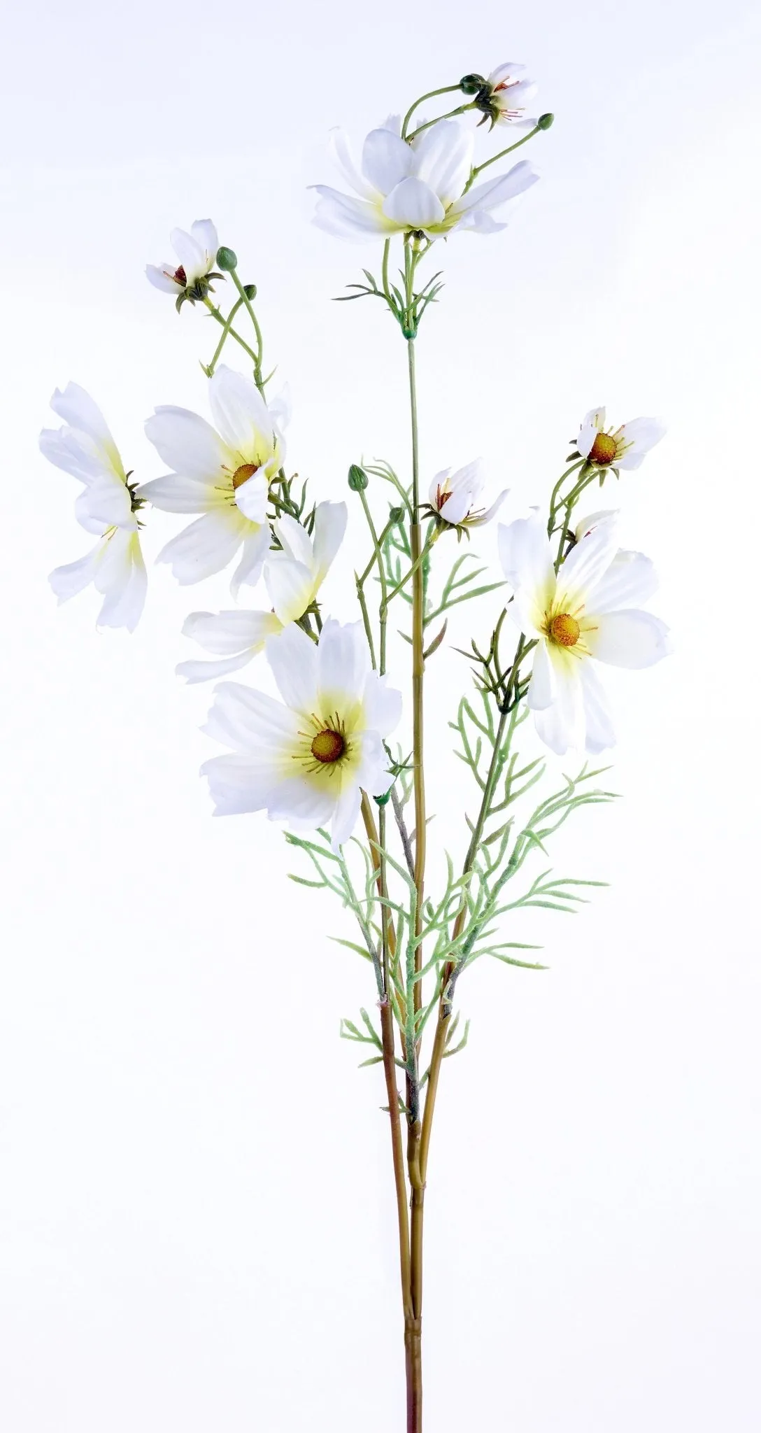 34"L Cosmos Spray: White- FS389127