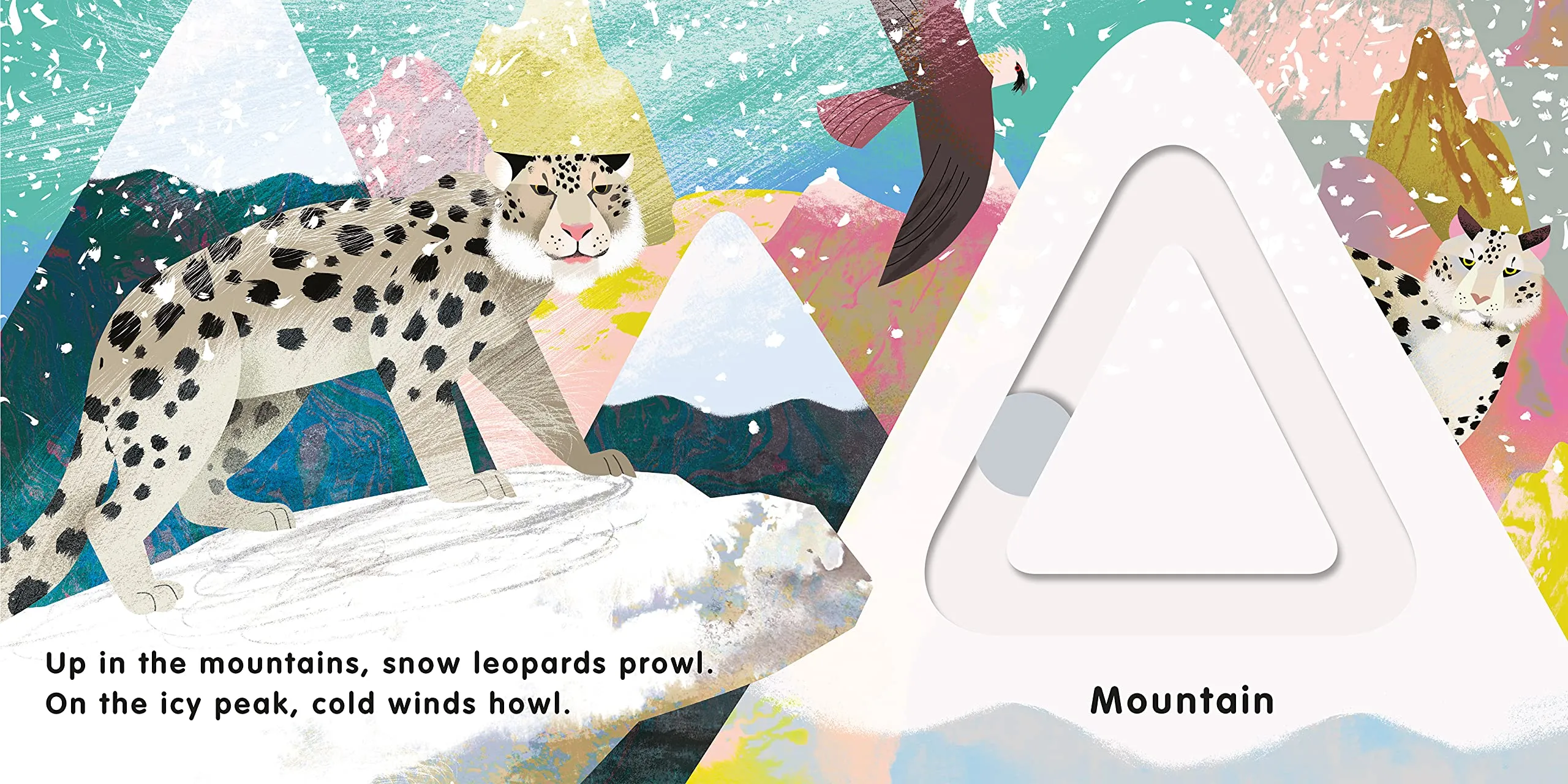 5 Wild Homes