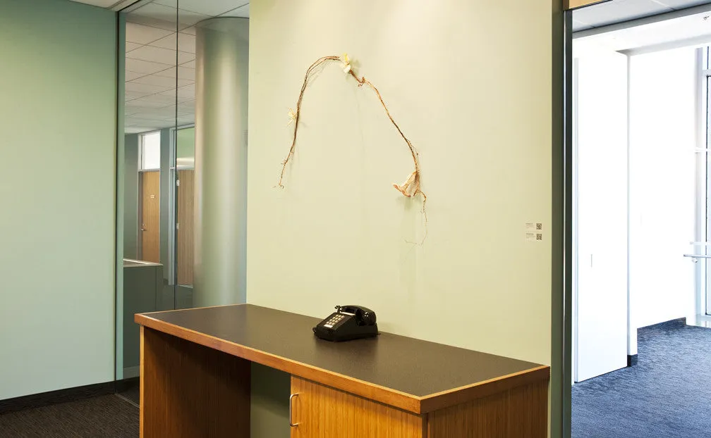 Botanical Sculptures Installation