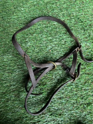 Brown leather foal slip with brass fittings 🩷