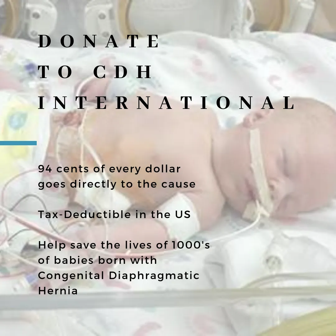 CDHi Corporate Capital Campaign Fund