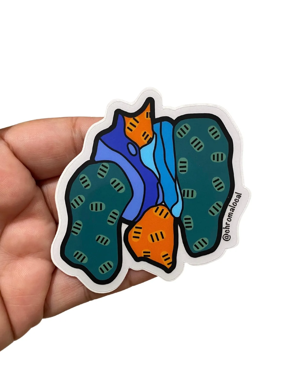 CHROMA LOCAL-  Mural Fragment Sticker
