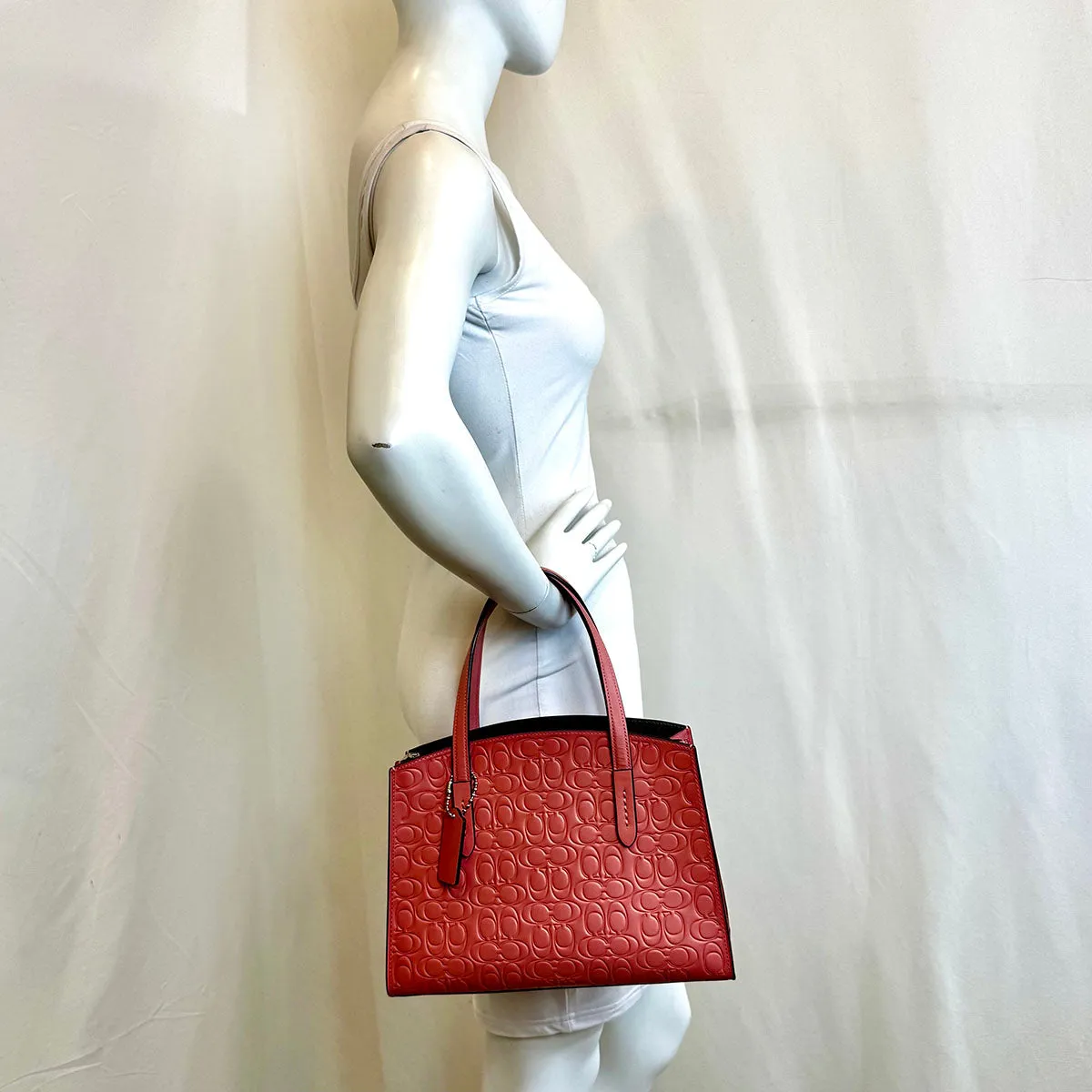 Coach Handle Bag