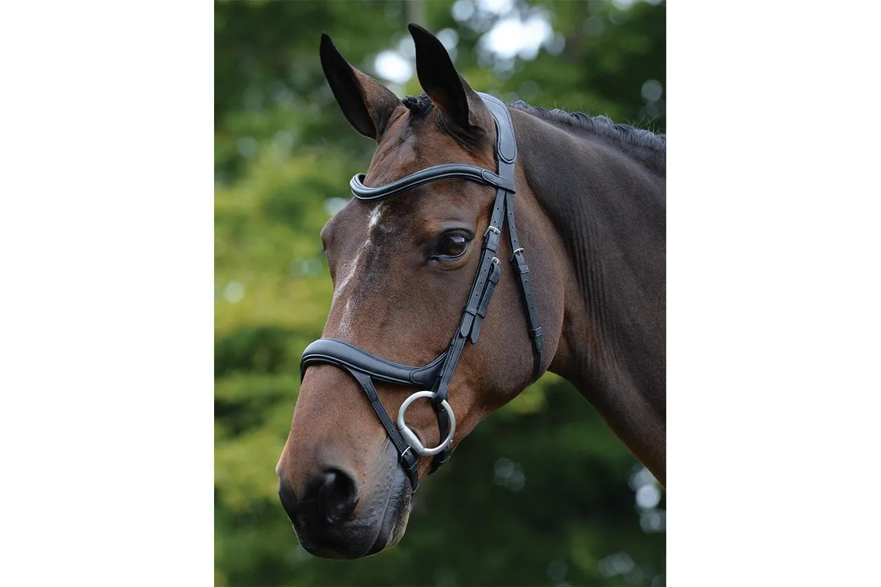 Collegiate Comfitec Vogue Anatomical Bridle