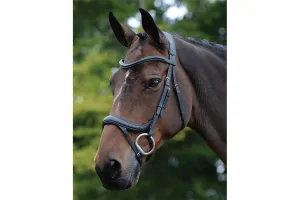 Collegiate Comfitec Vogue Anatomical Bridle