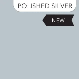 Colorworks Premium Solid 9000-905 Polished Silver