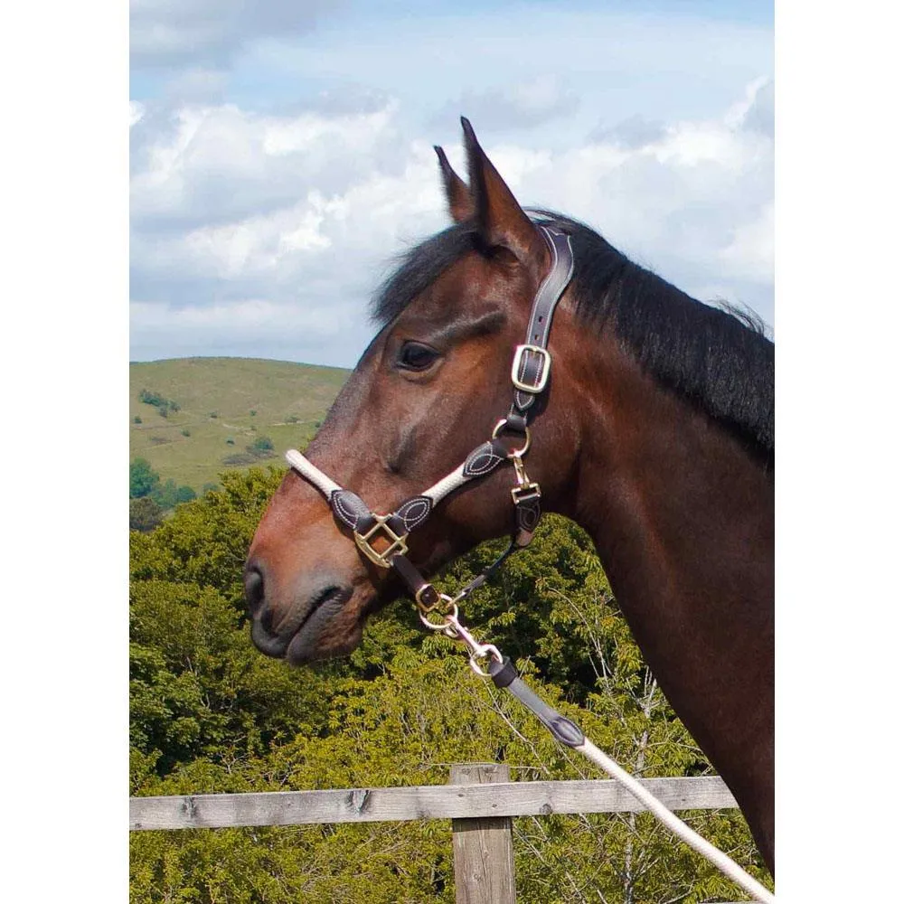 Control & Comfort: Anatomic Leather Headcollar for Horses & Ponies