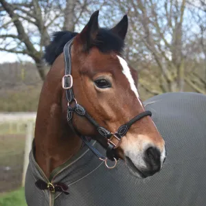Control & Comfort: Anatomic Leather Headcollar for Horses & Ponies