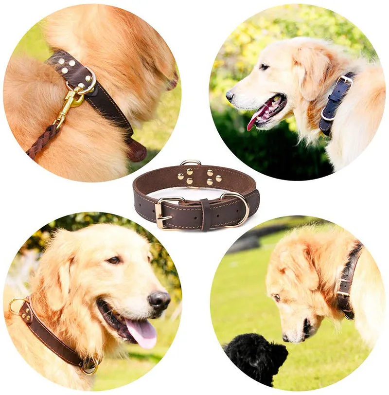 Cowhide Collar