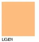 CRAFTSMAN COLLECTION -  Homestead House Wall Paint