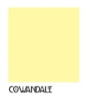 CRAFTSMAN COLLECTION -  Homestead House Wall Paint