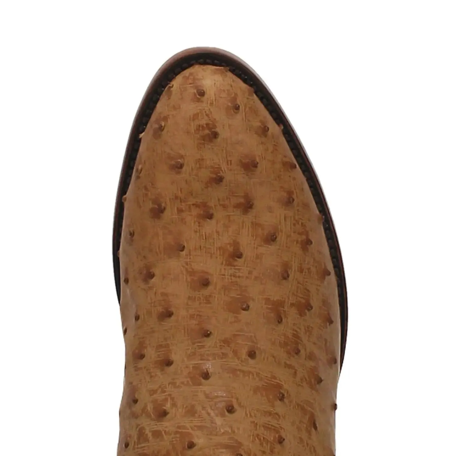Dan Post Men's Gehrig Ostrich Boot DP3077