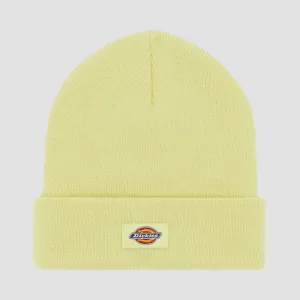 Dickies Gibsland Beanie Pale Green