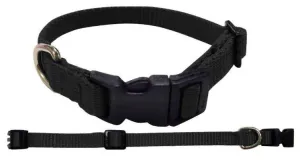 DOG COLLAR