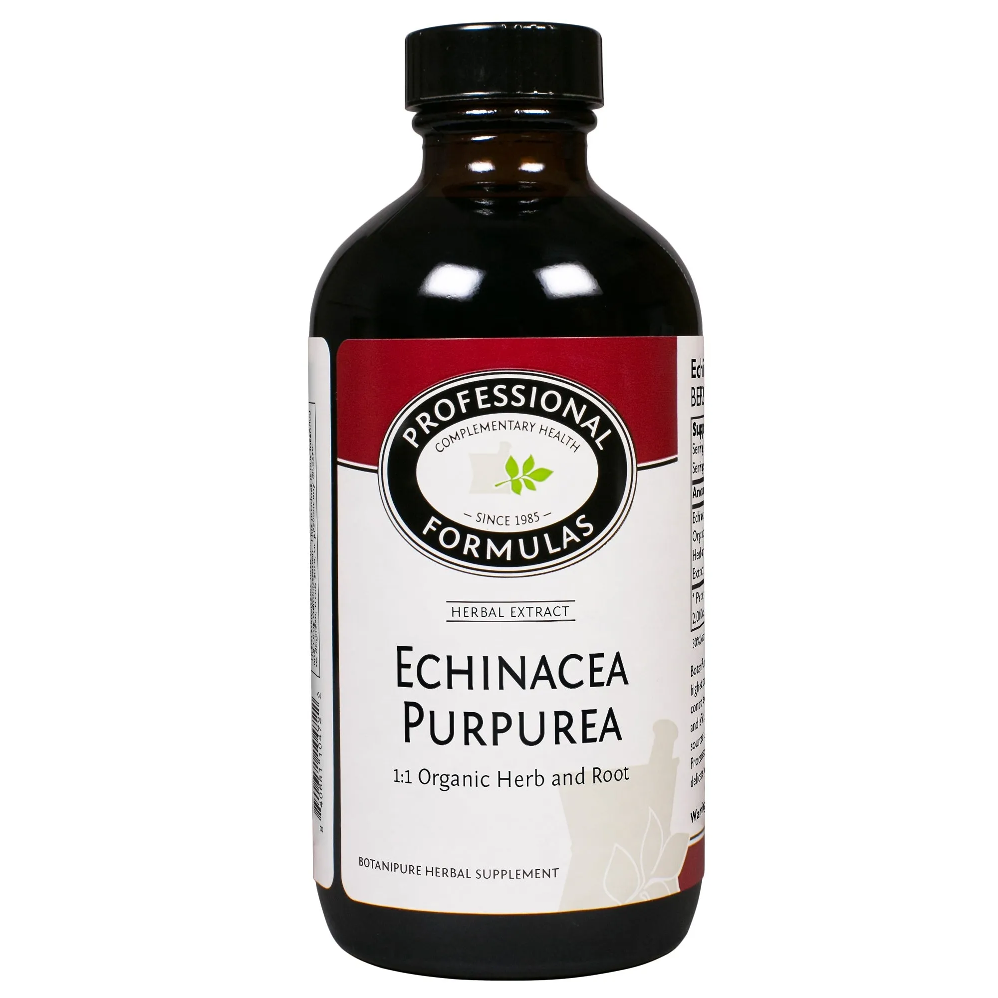 Echinacea purpurea (root)