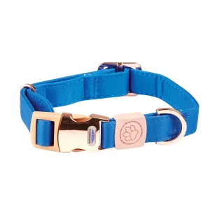 Elegance Dog Collar