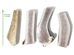 Elk Antler Dog Chews - Split  or Whole