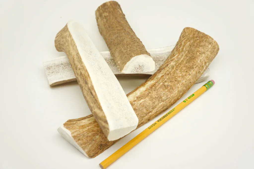 Elk Antler Dog Chews - Split  or Whole