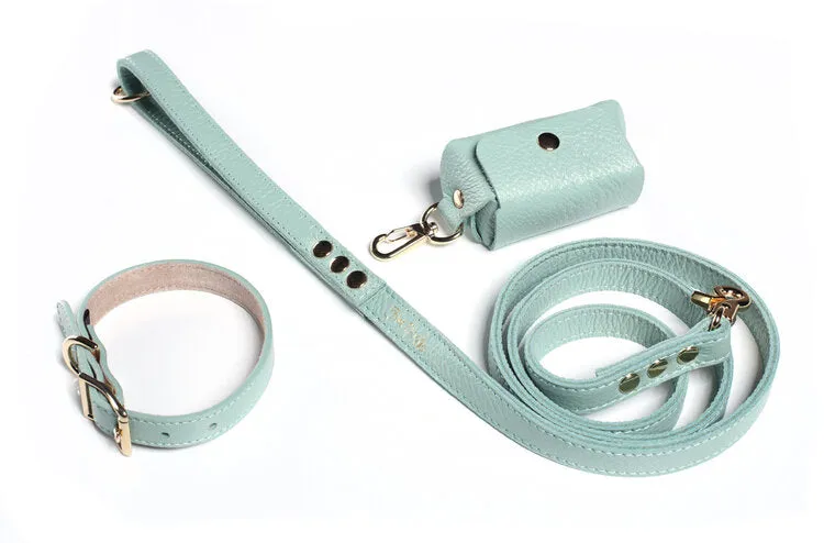 Fine Doggy Leather Collar