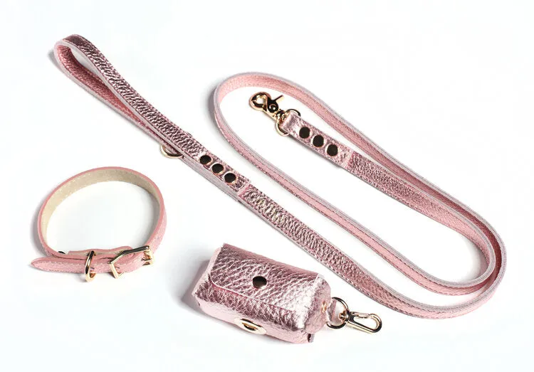 Fine Doggy Leather Collar
