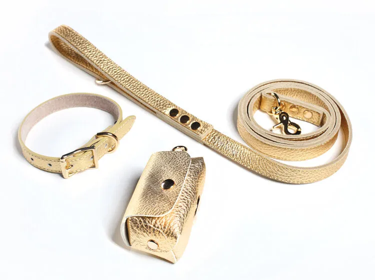 Fine Doggy Leather Collar