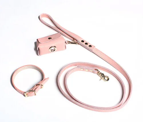 Fine Doggy Leather Collar