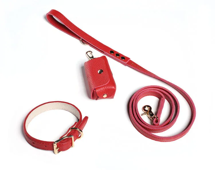 Fine Doggy Leather Collar