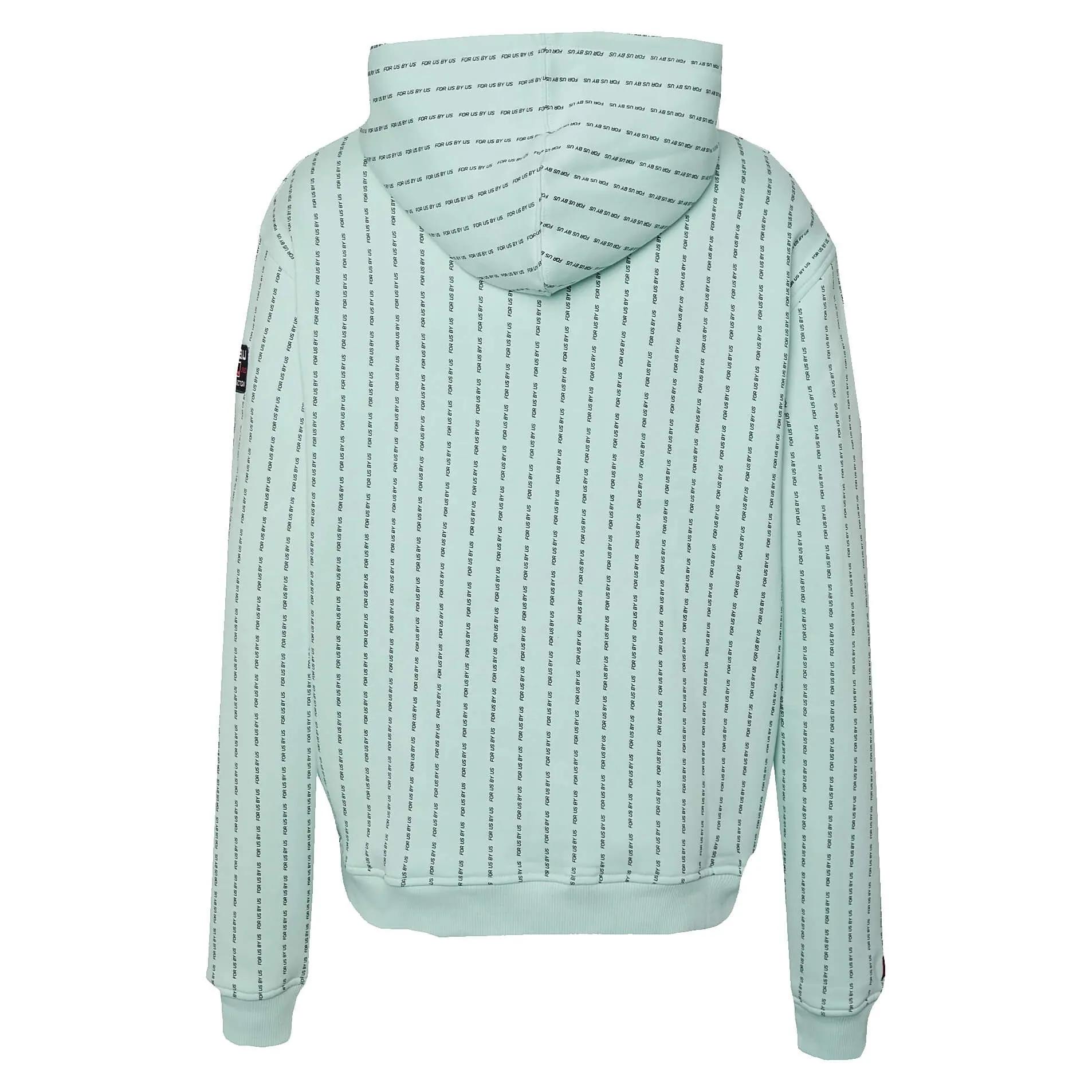 FUBU Corporate Fubu Pinstripe Hoodie mint/black