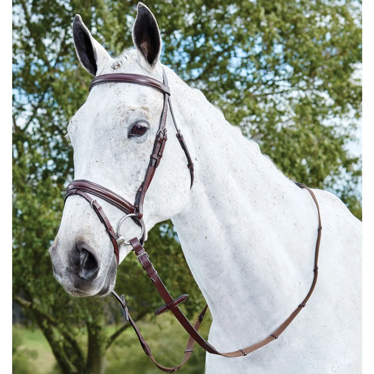 Hanoverian Bridle