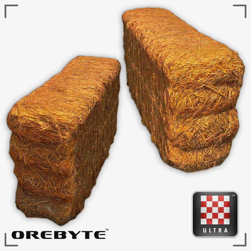 Hay Bale 01