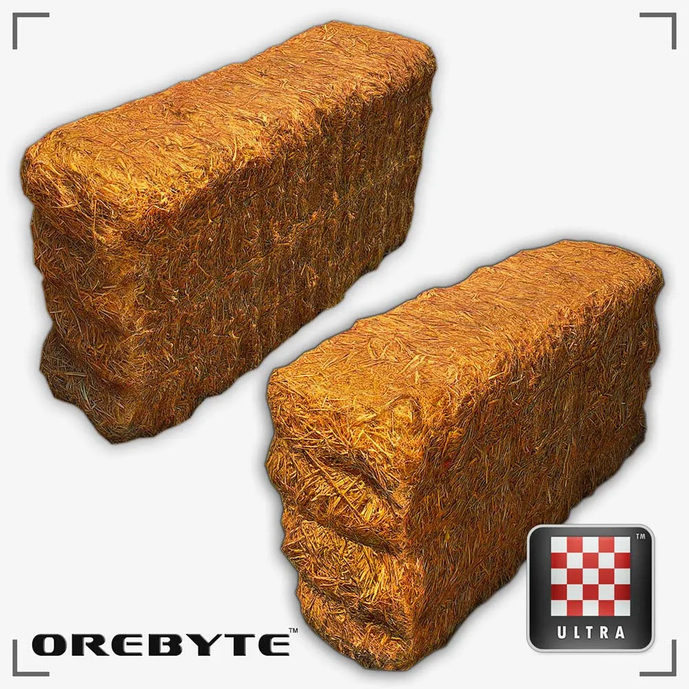 Hay Bale 01