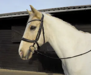 Heritage Anatomical Cavesson Bridle
