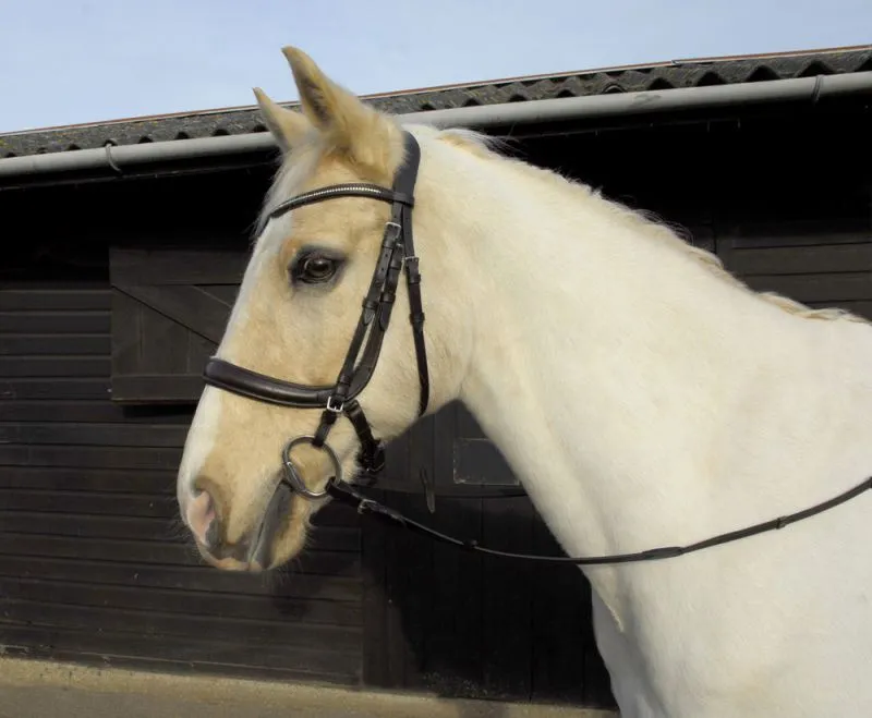Heritage Anatomical Cavesson Bridle