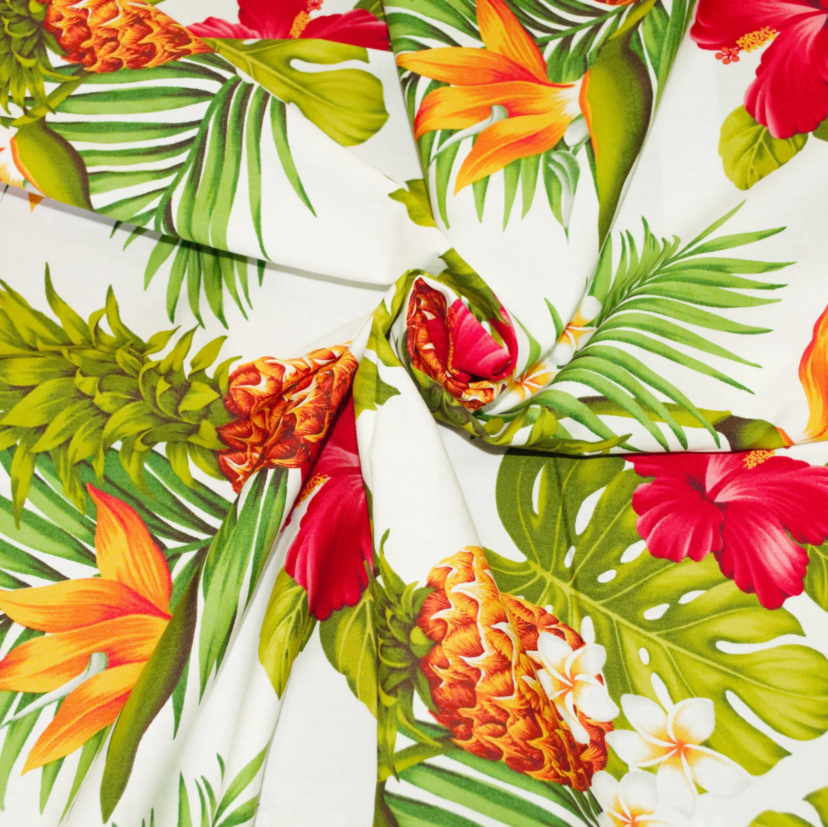 Hibiscus and Pineaple on White