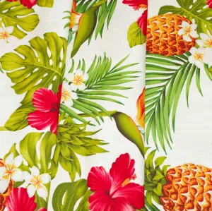 Hibiscus and Pineaple on White