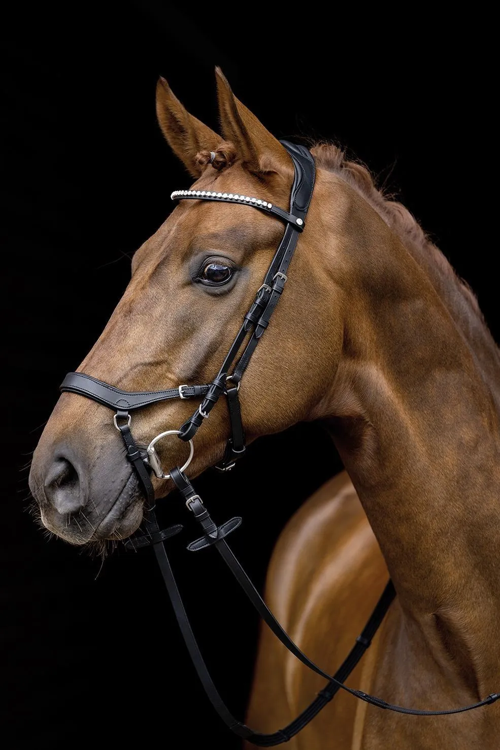HKM Bridle Pro Anatomic