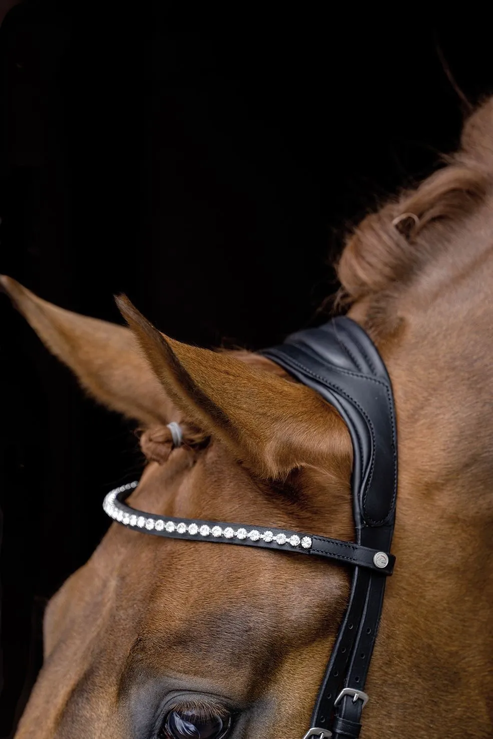 HKM Bridle Pro Anatomic