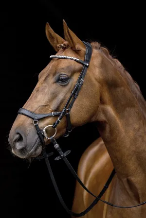 HKM Bridle Pro Anatomic