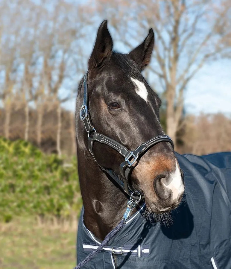HKM Leather Head Collar Soft