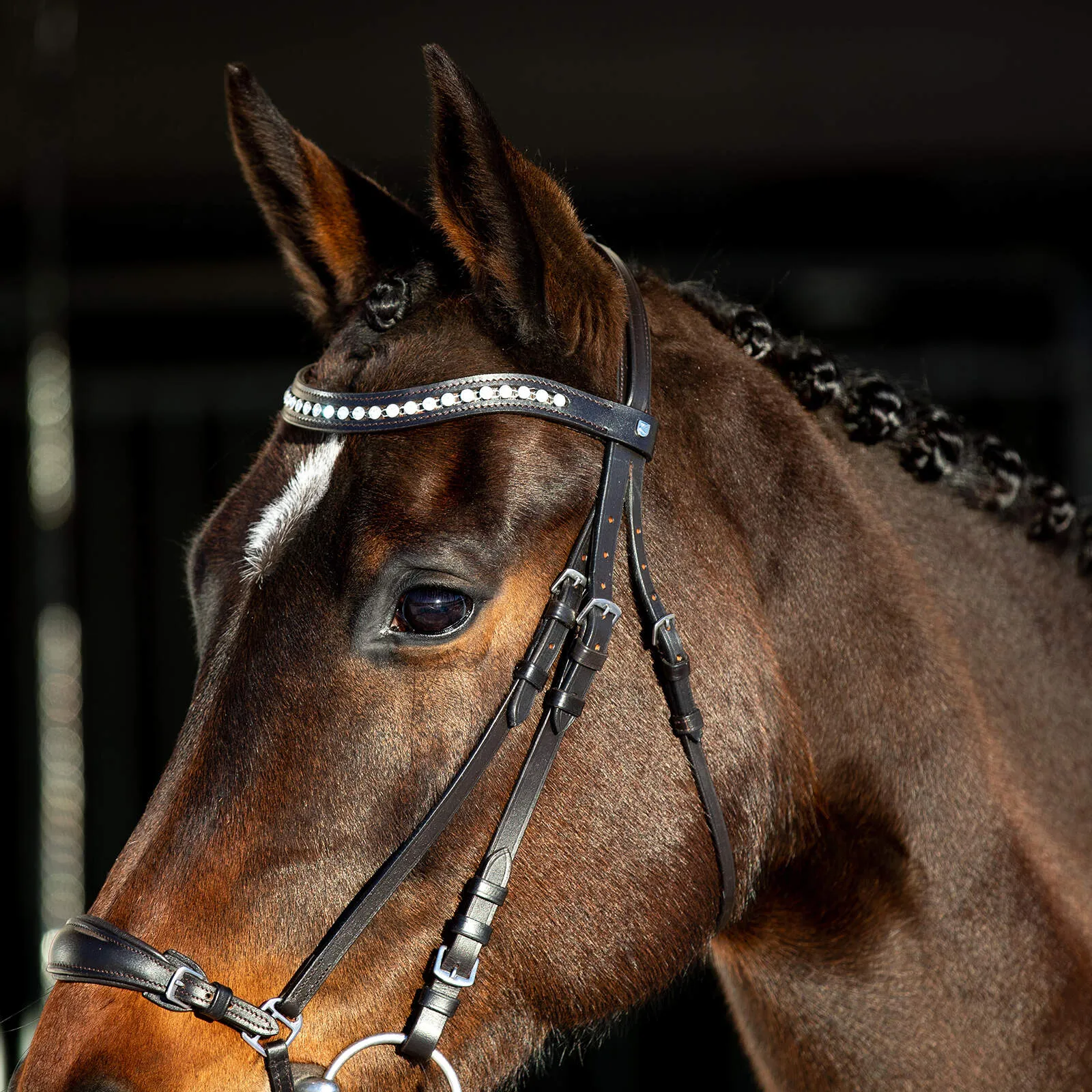 Horze Bergen Remont Bridle