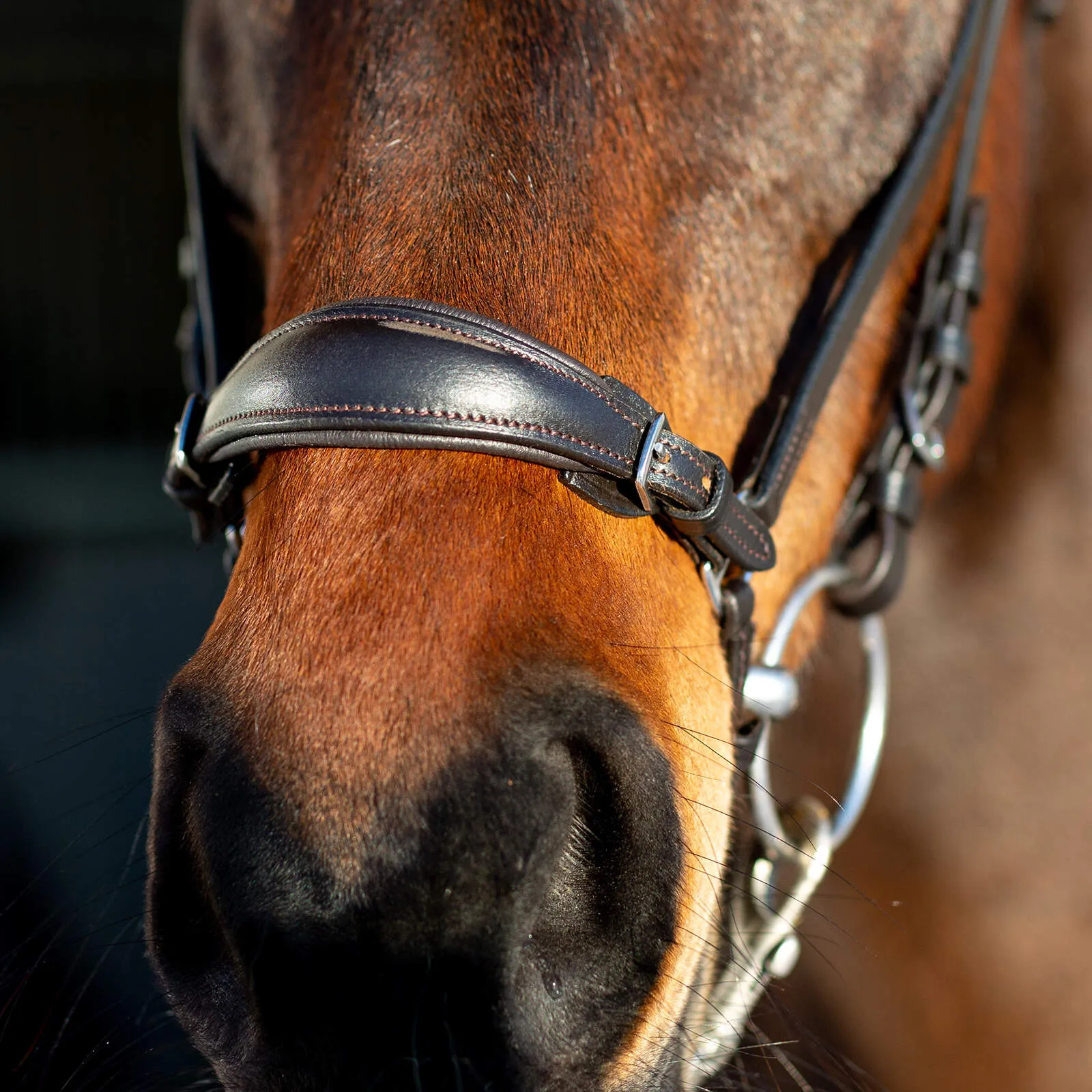 Horze Bergen Remont Bridle