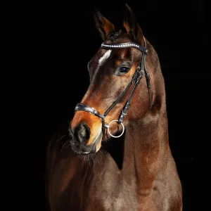 Horze Bergen Remont Bridle