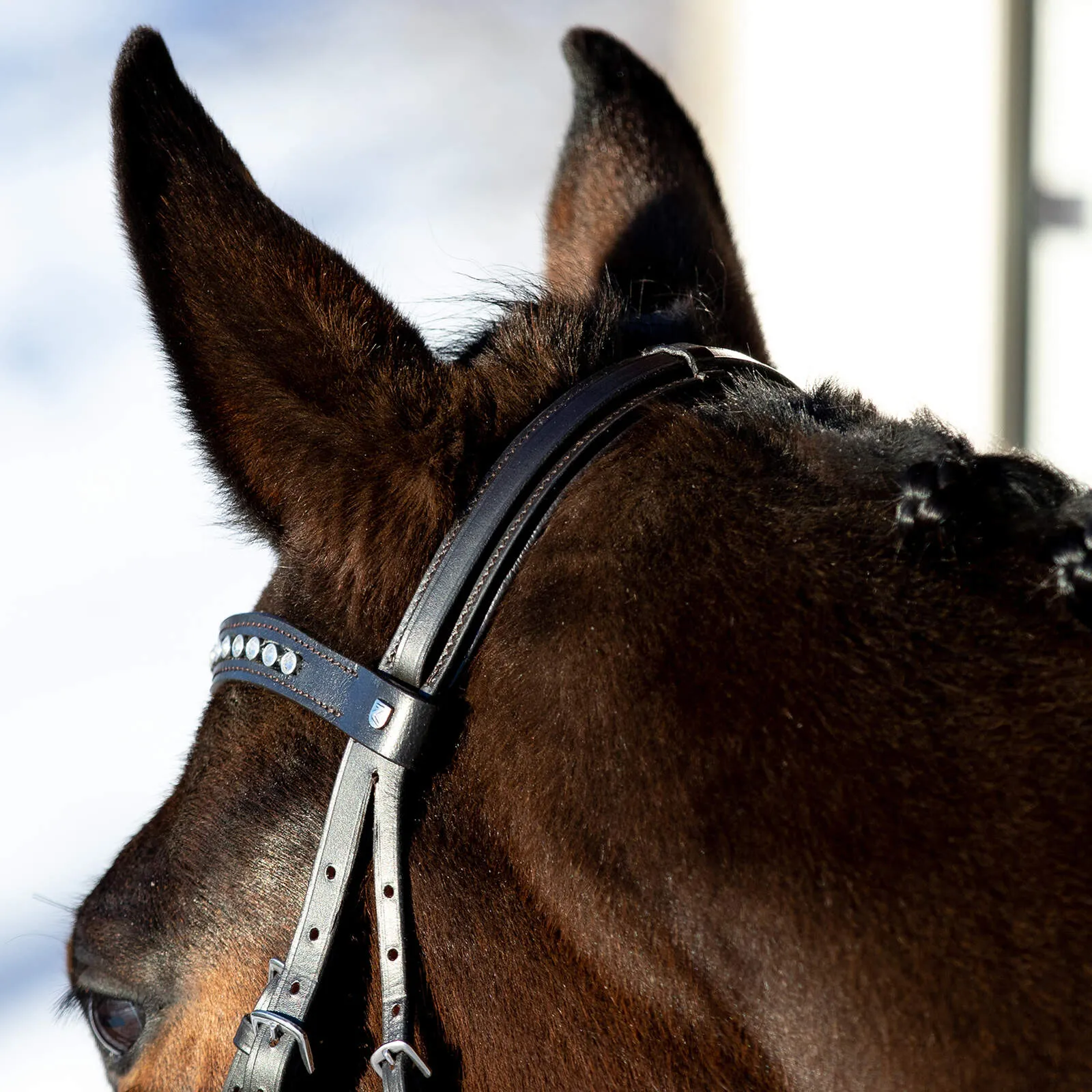 Horze Bergen Remont Bridle