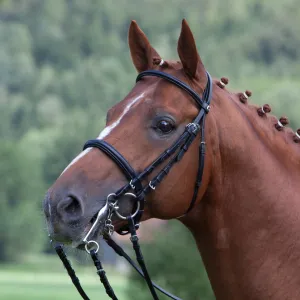 Kieffer Anja Beran Ergonomic Double Bridle