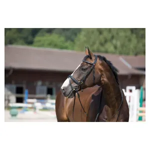 Kieffer Ultrasoft Snaffle Bridle