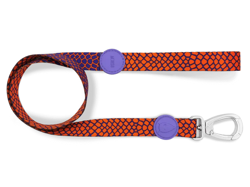 Laisse Urban Lizard