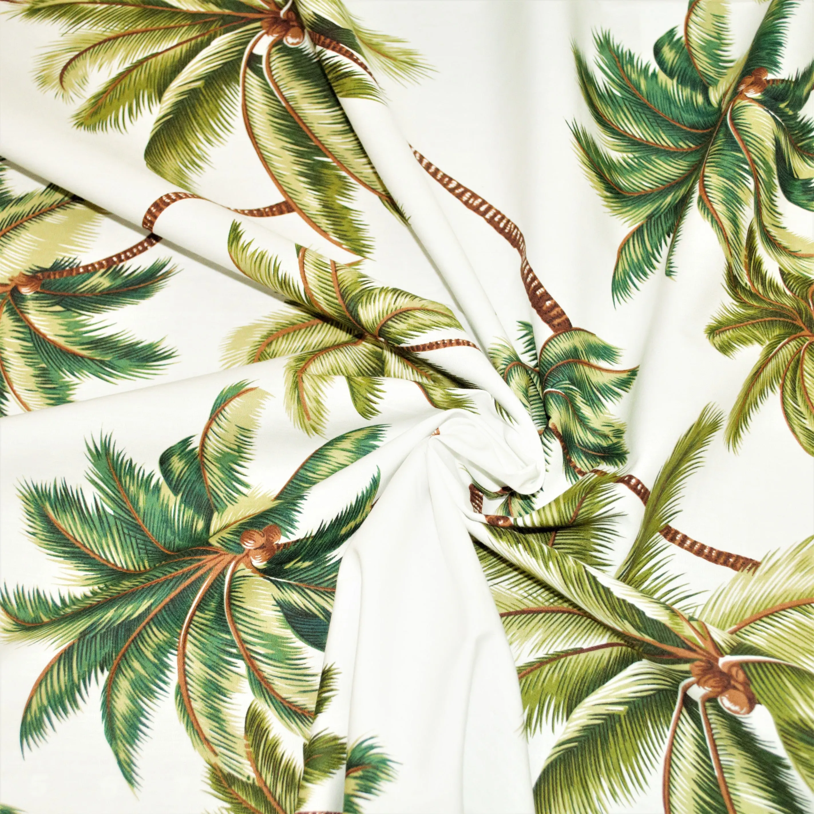 Large Plam Trees Off-white Background