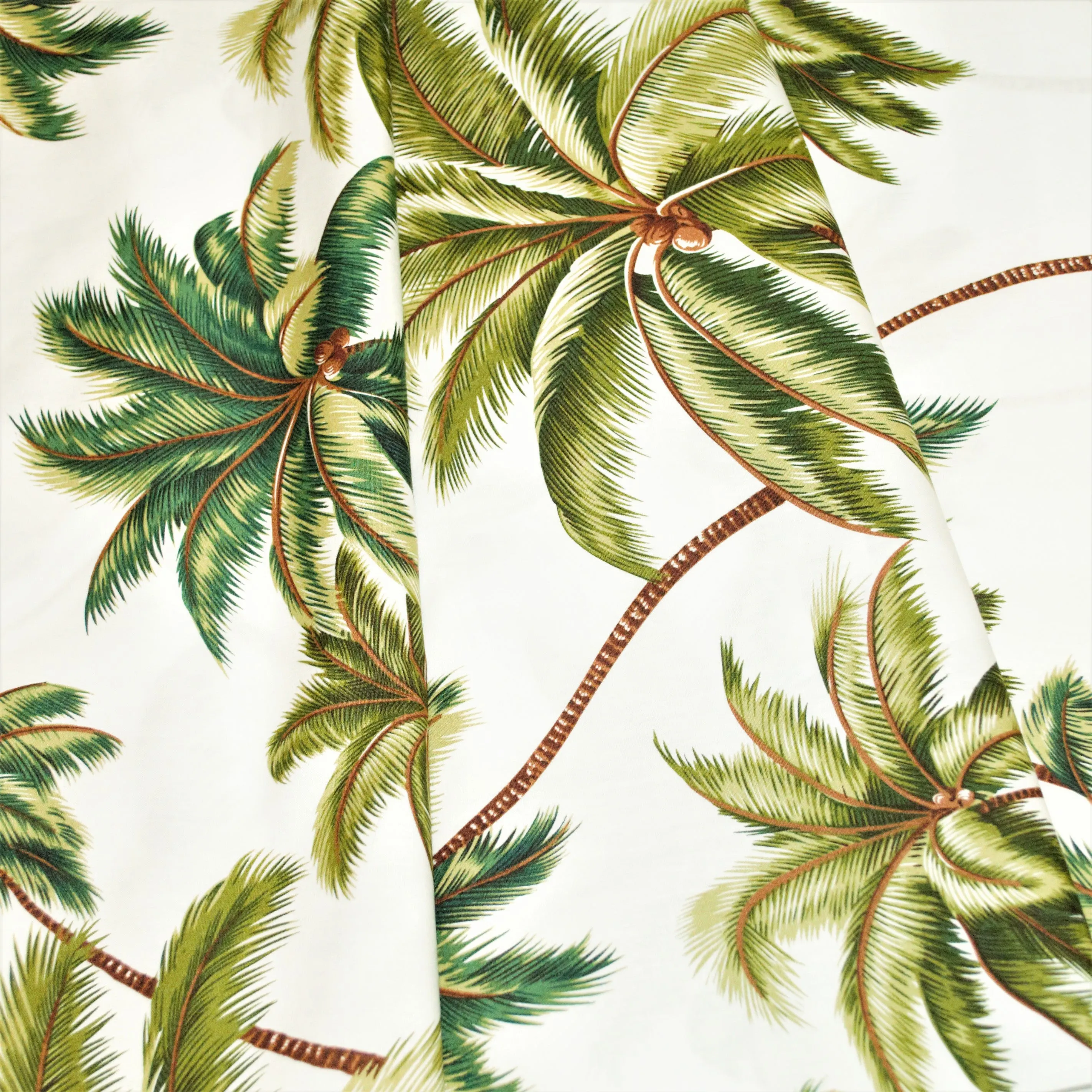 Large Plam Trees Off-white Background