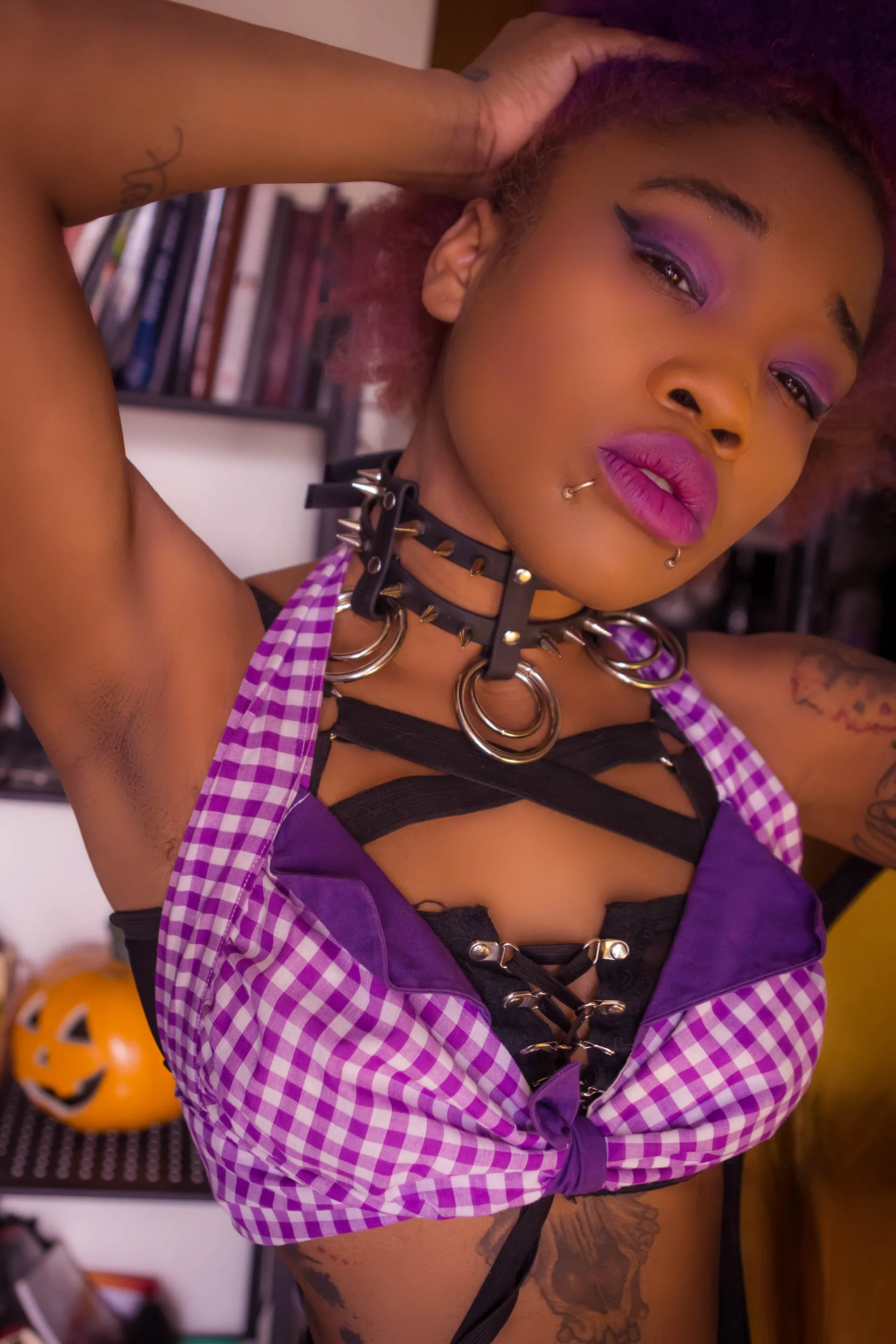 Lark vegan biothane or leather collar