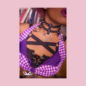 Lark vegan biothane or leather collar